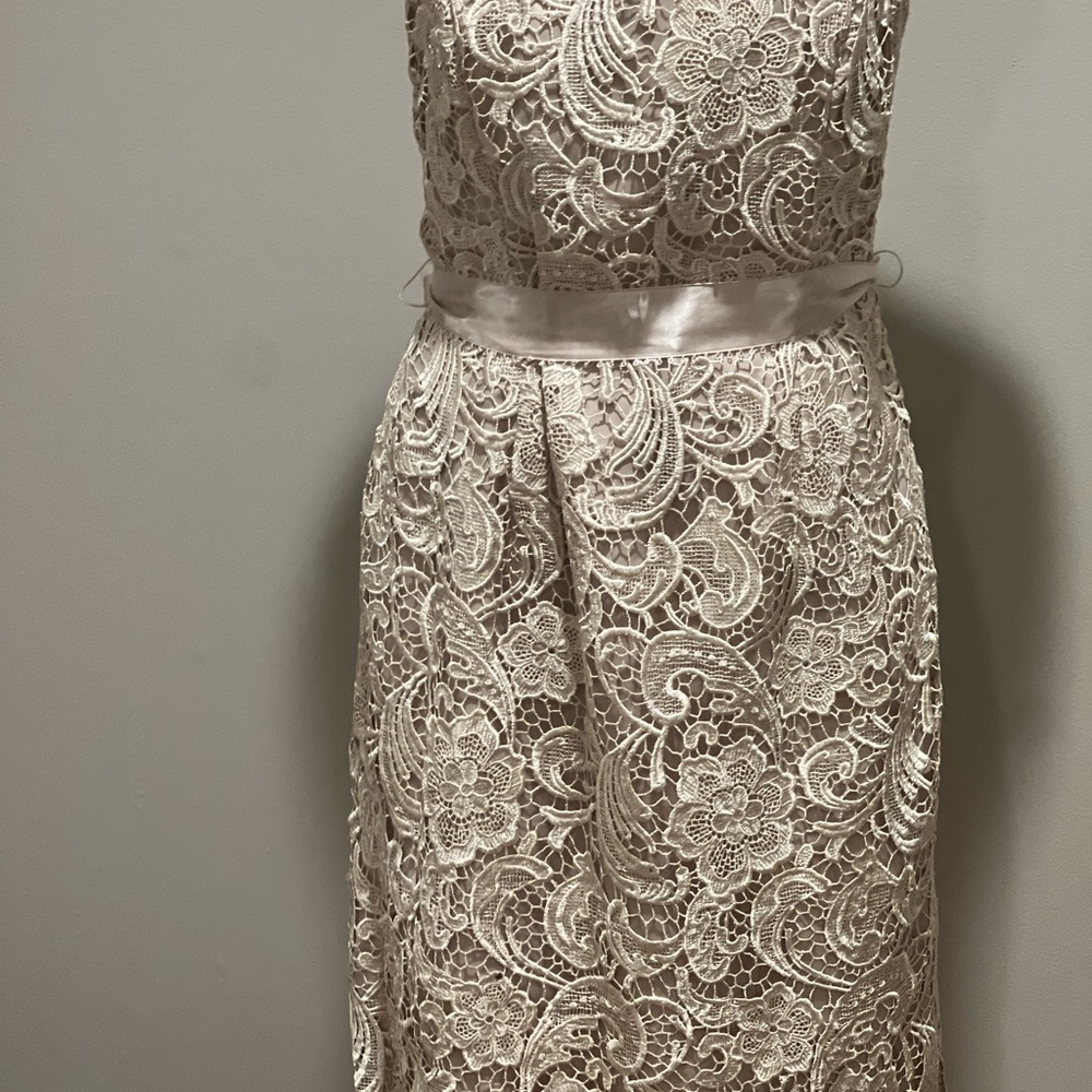 Adrianna Papell Evening Gown in Cream - Picture 3 of 7